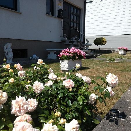 Ferienwohnung Dernbecher 사르브루켄 외부 사진